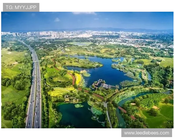 云开集团推动游戏产业绿色可持续发展的具体措施与成效