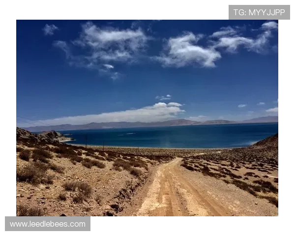 开云注册给钱吗详细解析新用户注册奖励政策及领取流程介绍