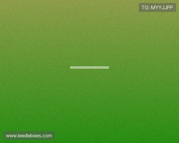 摩洛哥对巴西世界杯比赛购票渠道详细指南与最新购票信息